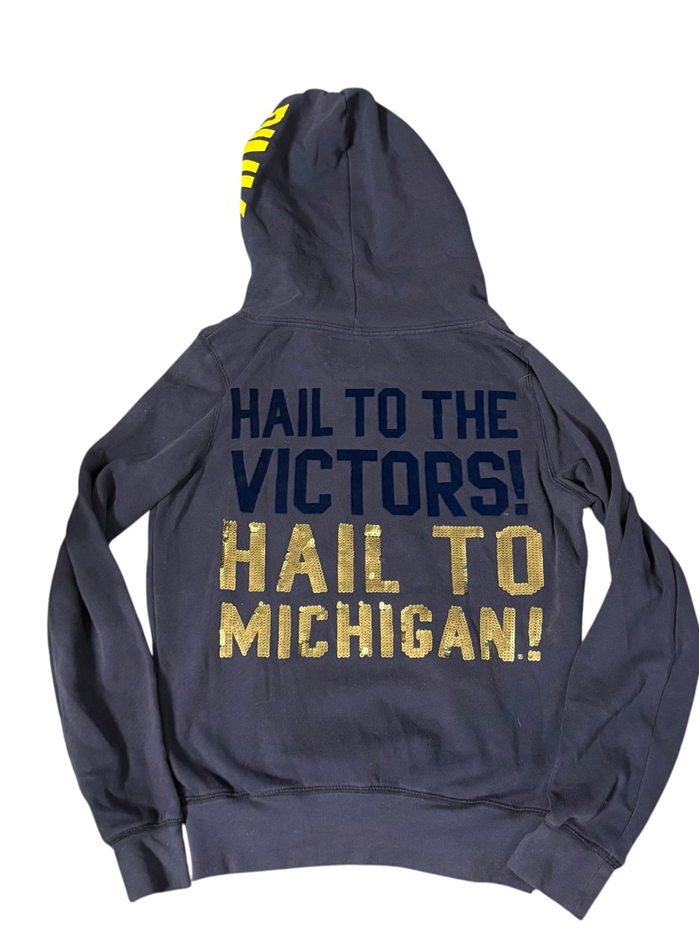 Y2K rare vintage University of Michigan VICTORIA’s SECRET PINK bling zip up